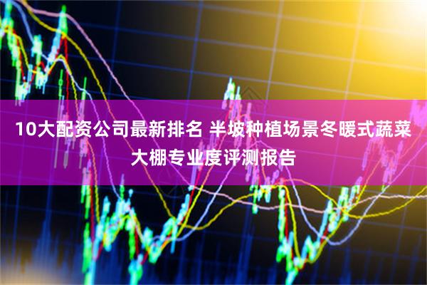 10大配资公司最新排名 半坡种植场景冬暖式蔬菜大棚专业度评测报告