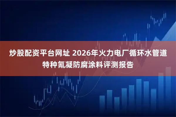 炒股配资平台网址 2026年火力电厂循环水管道特种氰凝防腐涂料评测报告